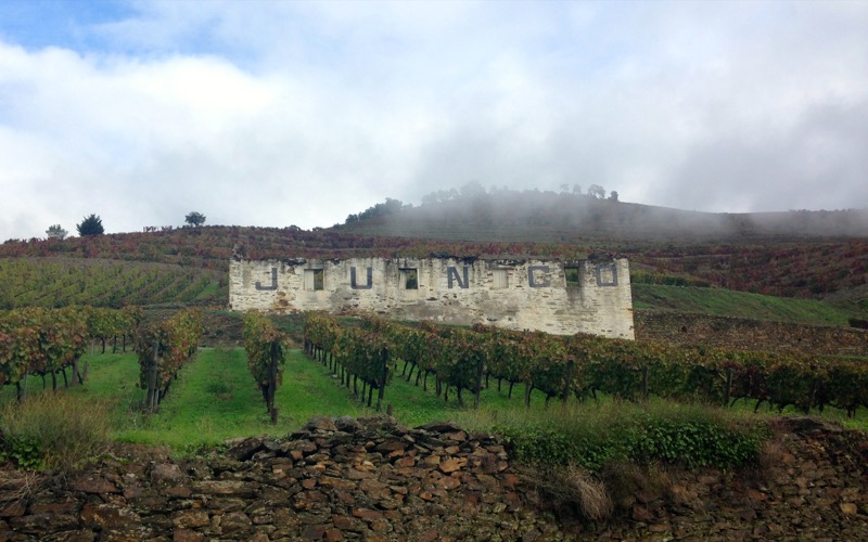 Portugal: A packed lunch was enjoyed at the edge of a vineyard