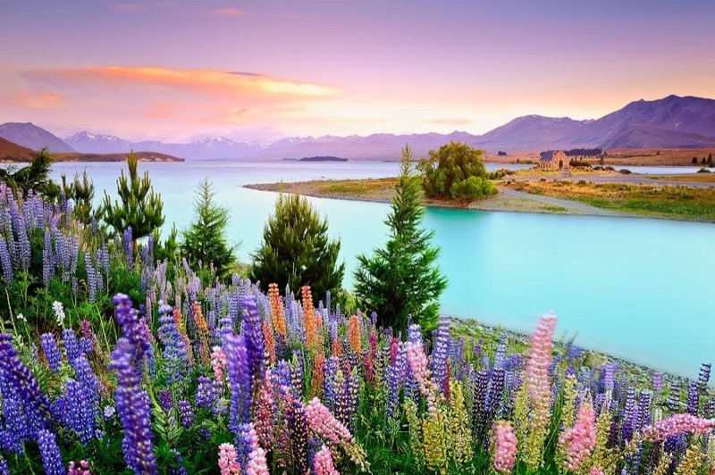 New Zealand offers many experiences for family holidays