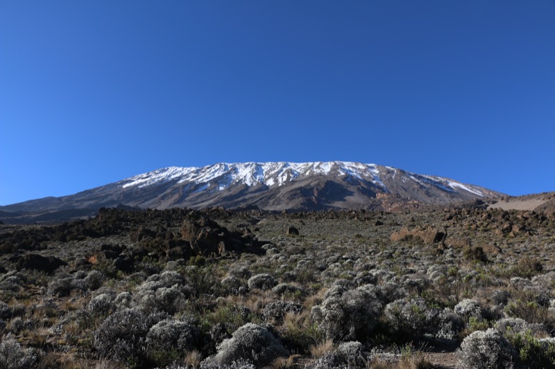 travel trends: Kick a life goal by summiting Kilimanjaro (in luxury!)