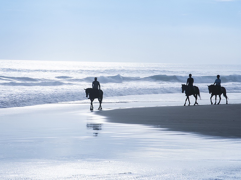 Bali: What's not to love about horse riding and the beach?
