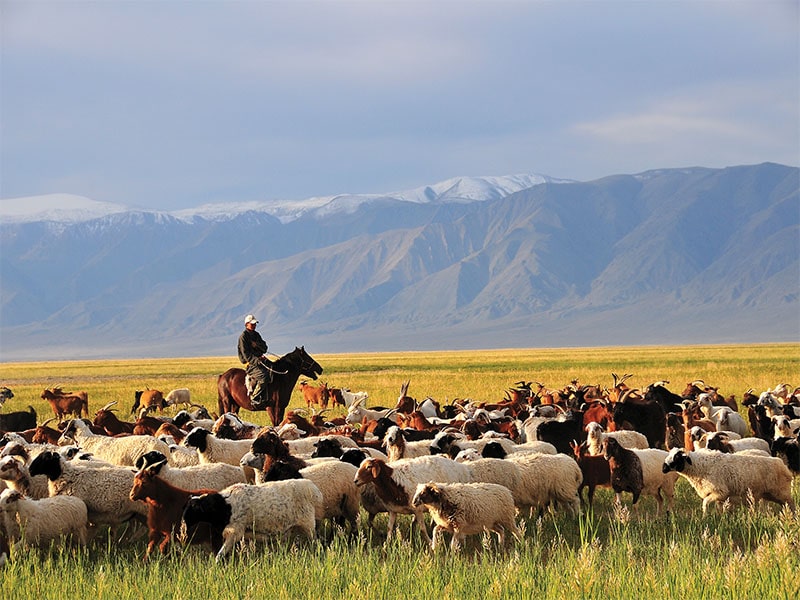 Mongolia holiday