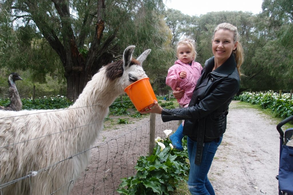 Margaret river with kids, full guide to family holidays fun in western Australia