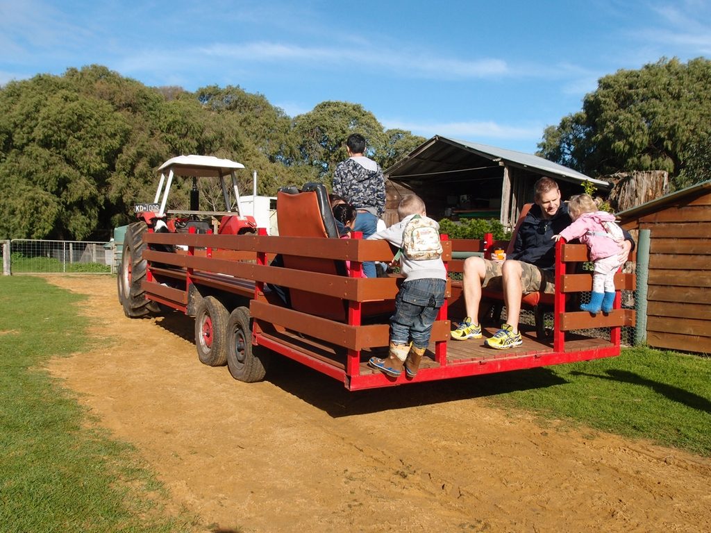 Margaret river with kids, full guide to family holidays fun in western australia 