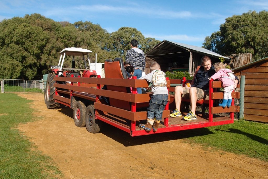 Margaret river with kids, full guide to family holidays fun in western Australia