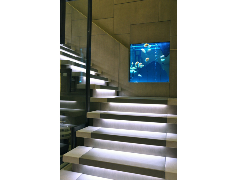 staircase, aquarium, home decor