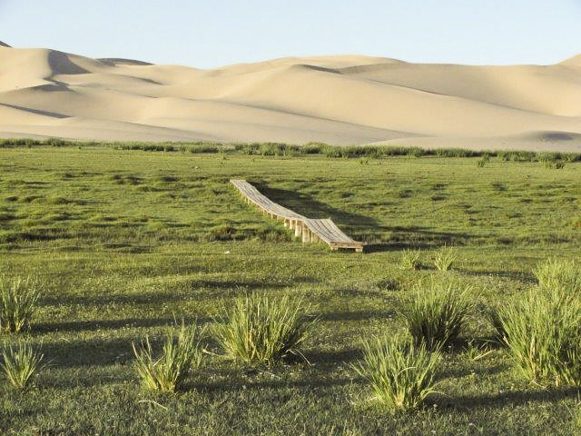 Mongolia: The sand dunes of the Gobi desert