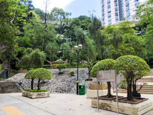 Tai Hang park