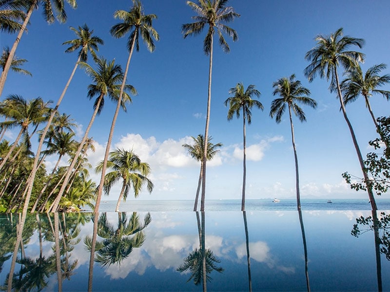 Four Seasons Koh Samui infinity pool with palm trees