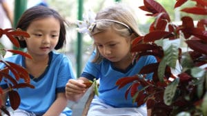 image of students at The Harbour School, an international school in Hong Kong