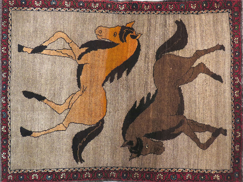 Carpet buyers - horse rug