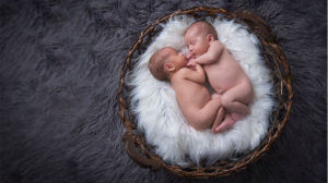 Family photos: Jules Baby twins shoot