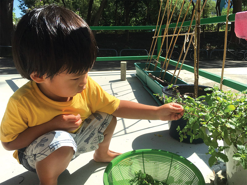 Sai Kung Montessori gardening
