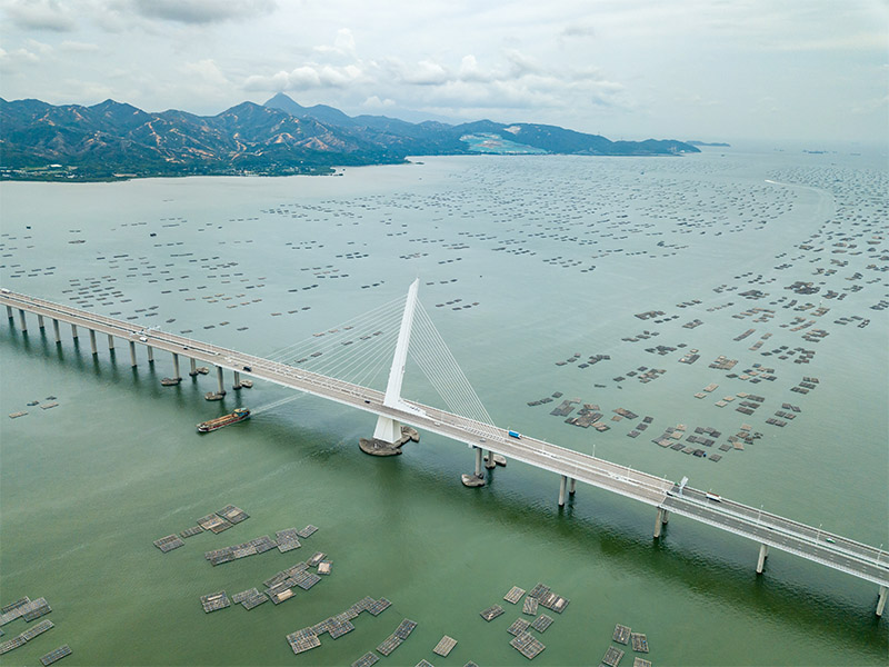 Hong Kong bridge to china