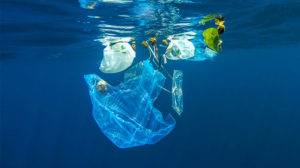 Plastic bag in ocean image for reducing plastic usage article on EL web