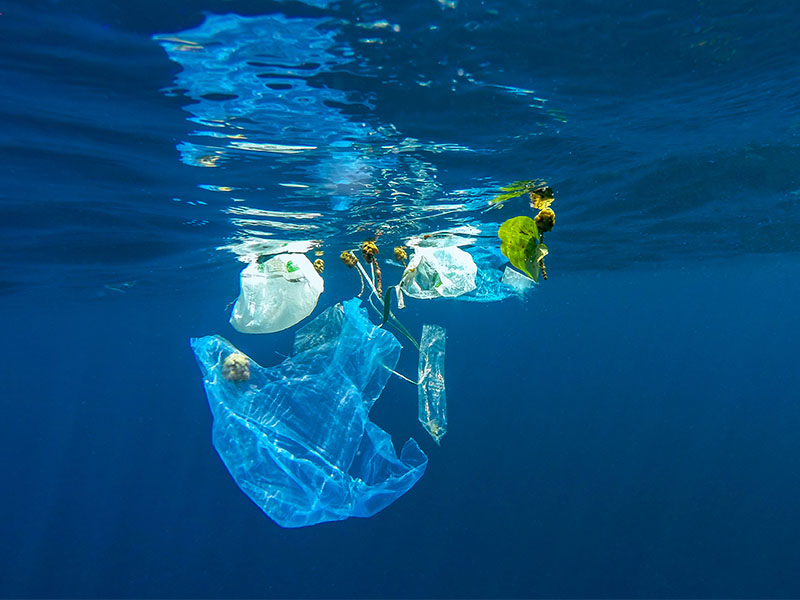 Plastic bags in the ocean