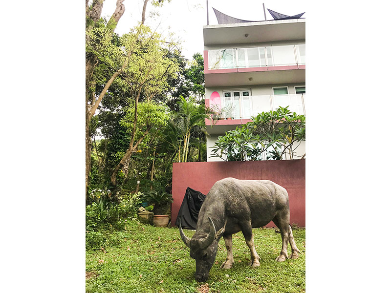 Pui O village resident Martin Lever