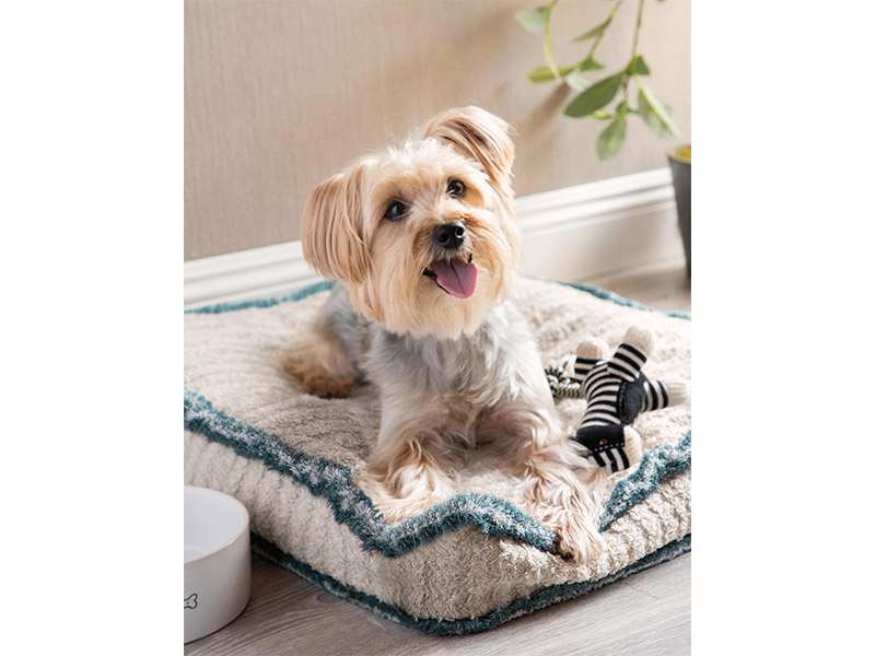 Fun furniture for all the family - Altfield Interiors - dog bed
