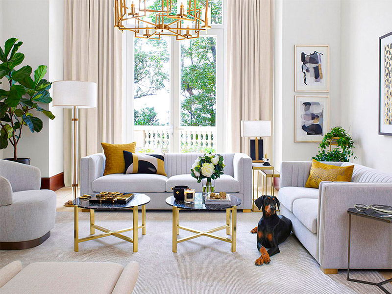 Indigo living - Living room with dog