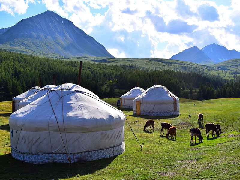 Adventure holiday in Mongolia