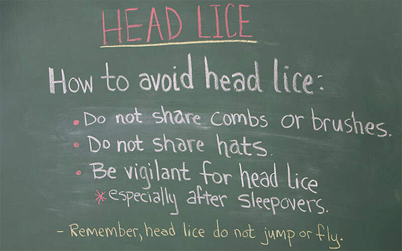 lessons about head life