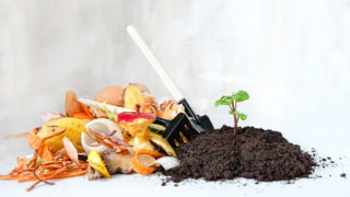 Composting and recycling food waste in Hong Kong