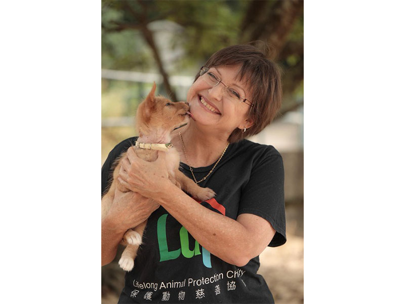 Lifelong Animal Protection Charity - Sheila McLelland