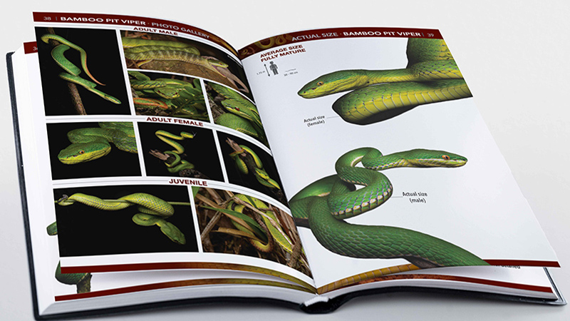 The Field Guide to Hong Kong Snakes, Robert Ferguson co-author