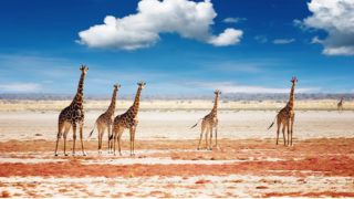 Travel destinations, holidays by Lightfoot Travel - Namibia