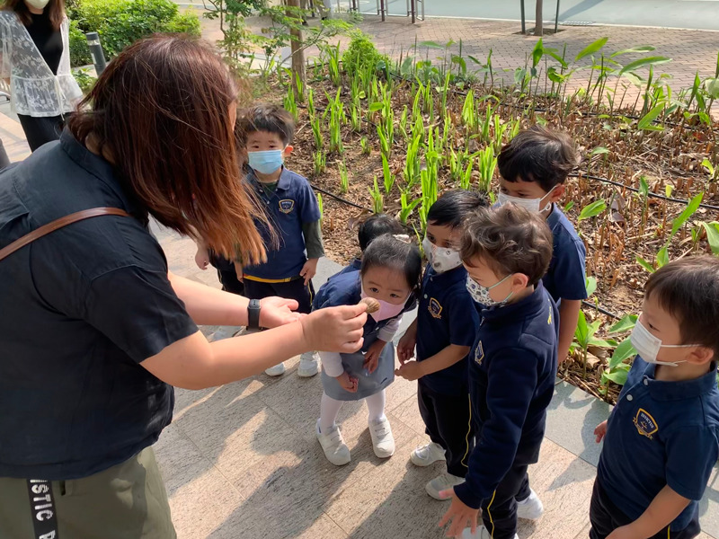 Preschools in Hong Kong - Invictus