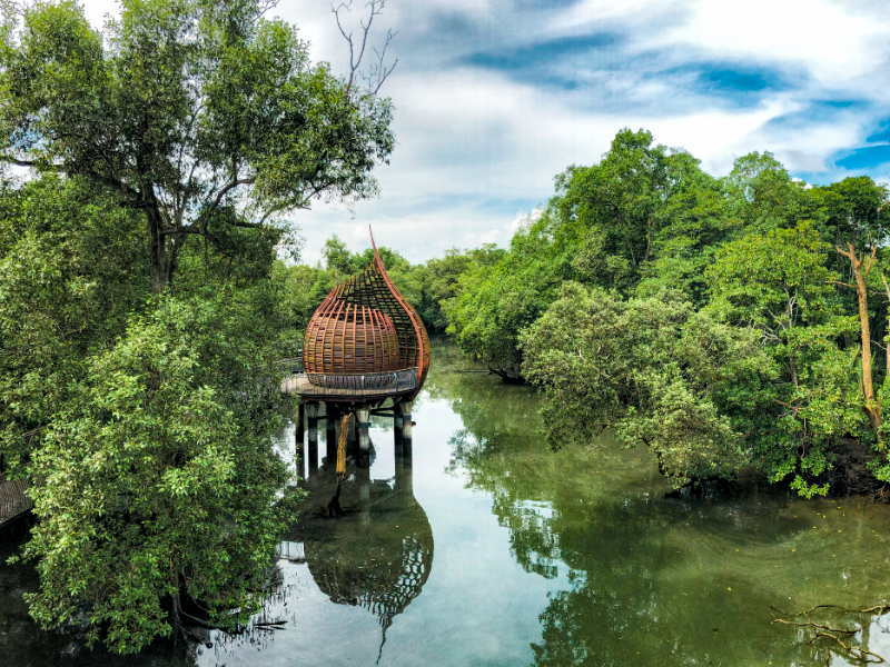 Living in SIngapore - Sungei Buloh Wetland