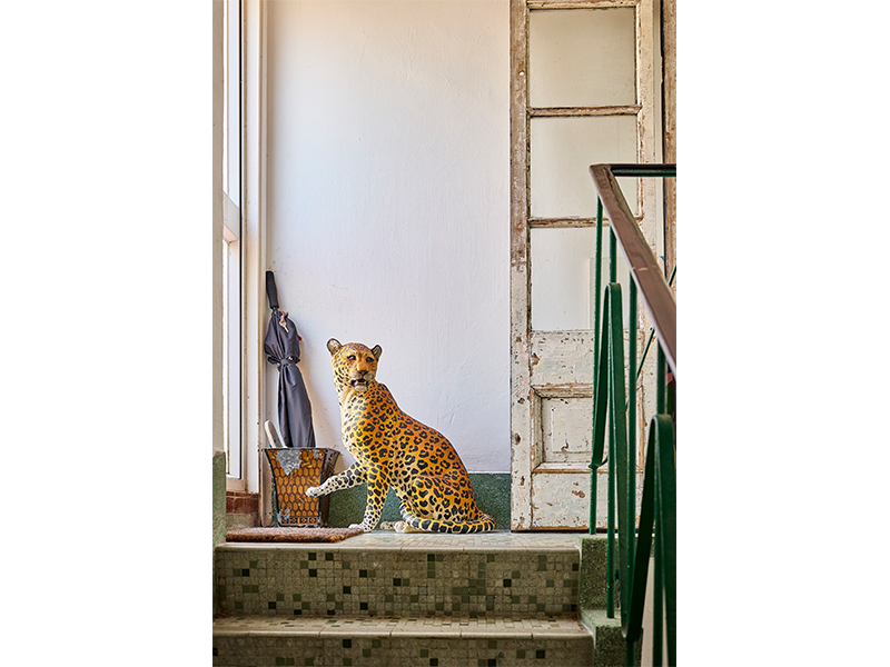 Mid-Levels apartment - leopard statue