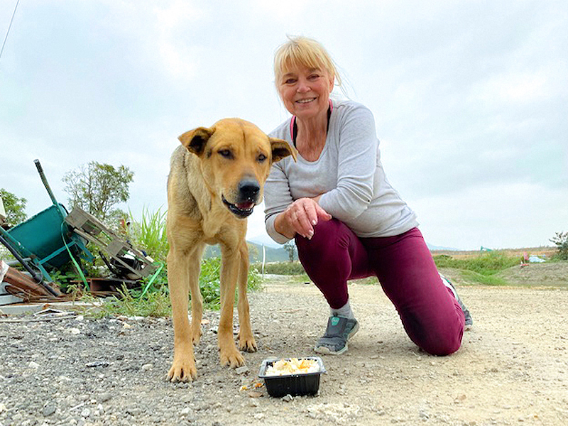 Dog rescue in Hong Kong, Narelle Pamuk, founder of Sai Kung Stray Friends Foundation