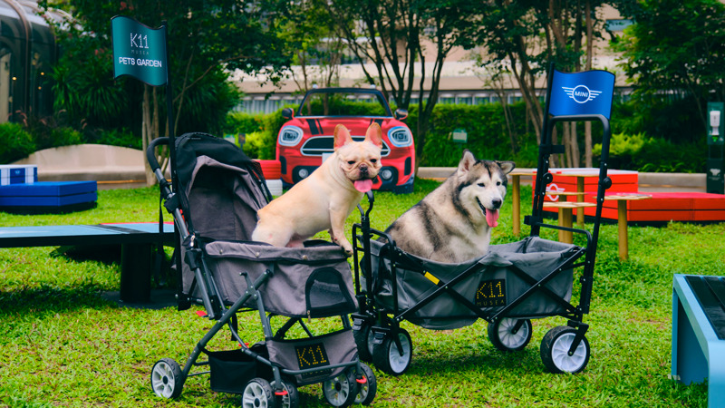 events in hk - K11 MUSEA Pets Garden