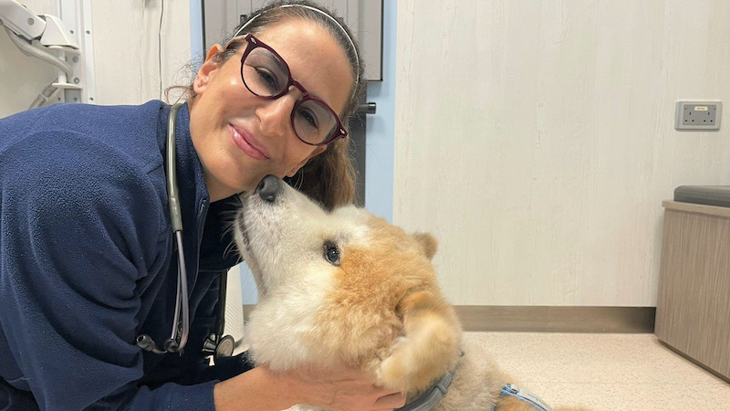 Dr. Stephanie JOHNNIDES Veterinary clinic